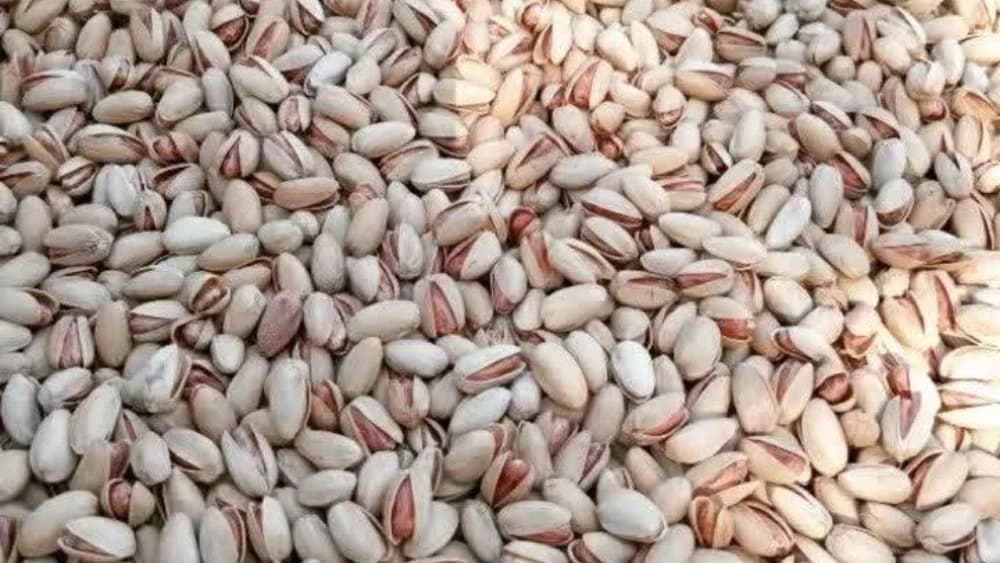 دستگاه نمگیر پسته